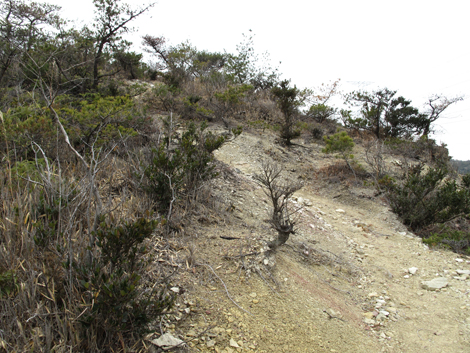 20140125hike (239)